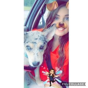 Meet your Posher, Caitlin